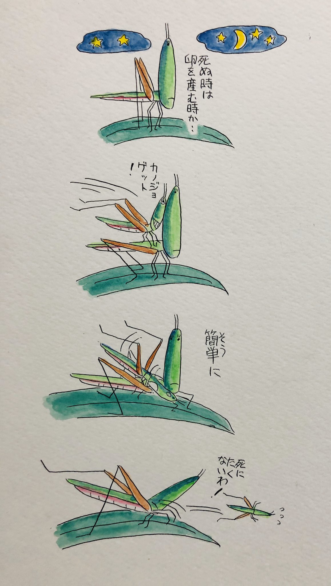 コボノザ Kobonozakaku Twitter