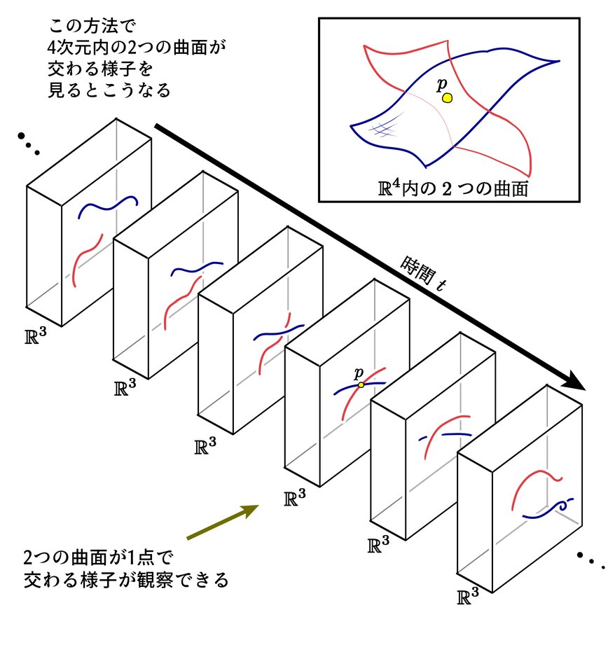 「4次元空間内の2つの曲面は1点で交わることができる」という事実を,3次元の直観に落とし込んだ例です. 