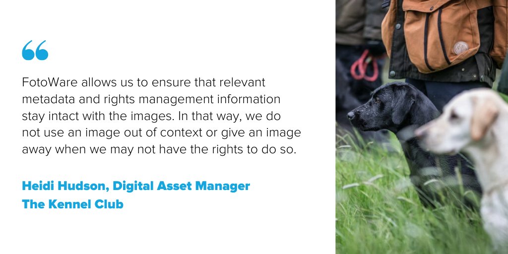 fotoware's tweet image. How do you protect your photos? Discover how @TheKennelClubUK 🐕uses #metadata to manage image rights and avoid wrong use of images. 🐶  hubs.ly/H0m-k2-0 
#TipTuseday #MetadataTip