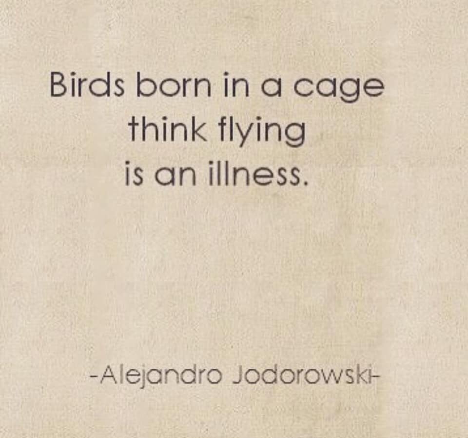 Birds born in a cage think flying is an illness - the same goes for trading in bitcoin! #disruptivethinking #tradeonline  DM for more info
