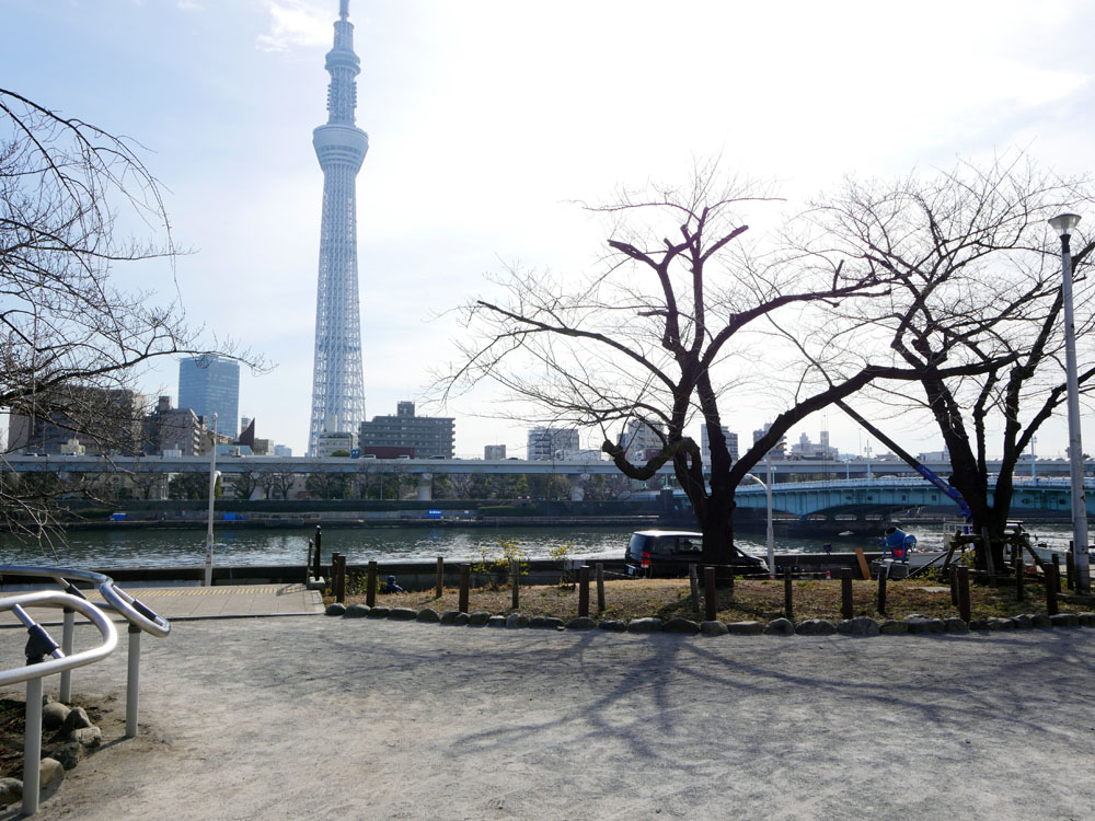 てつ 恋はつづくよどこまでも 第5話 夜の公園シーンは 東京スカイツリーバックの隅田公園 築山でした 今日撮影 スカイツリー撮影ポイントのひとつで 春は花見で賑わう場所です 昨夜もこの辺でロケしてたみたいですね 恋はつづくよどこまでも 恋