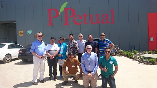 ICE_WaRM_'s tweet photo. Parliamentarians and business leaders from #Nepal are in South Australia meeting with government and researchers and visiting successful clean green agribusinesses including intensive greenhouse farming #P'Petual and #SAProduceMarket @SA_PIRSA https://t.co/o28R1kNpLR