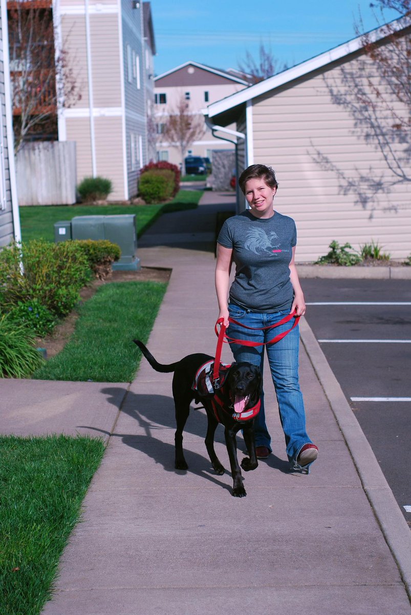 SiebeforORD1's tweet photo. People underestimate #Dogs
Dobby was a 2nd chance dog from Cali, adopted from the @OregonHumane in Nov 2014 at 4 months old
Since then, he's learned his commands in English, Spanish, & hand signals. He's smarter than many people.
#RespectTheDog #AnimalRights #DogsofTwittter https://t.co/ZRMGH5kpq7