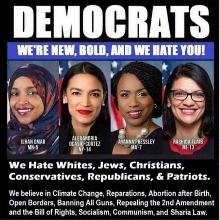 @BRNordgren @DavidJHarrisJr @HARLEYWOMAN1234 Yes. That's her on the FAR LEFT, of the farthest Left group of Representatives ever elected to the House of Representatives. They are very dangerous Islamist/Socialists. We must support their Republican opponents in November 2020. 
#VoteRedToSaveAmerica2020
#TakeBackTheHouse2020