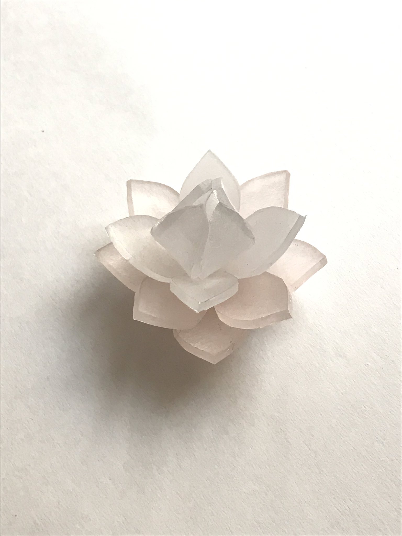 幻の銀水晶 Twitter Search Twitter