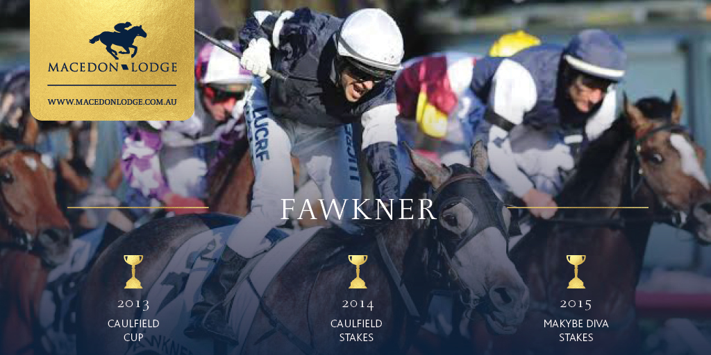MacedonLodge's tweet photo. "Fawkner's coming down the outside, and Fawkner swamping them out wide in the Caulfield Cup" - Greg Miles, on track caller, Caulfield Racecourse 2013
Macedon Lodge - for sale on International EOI closing on 11th March 2020 (Unless Sold Prior)
https://t.co/8ikYoEvqkC https://t.co/sBqhkUjDuF