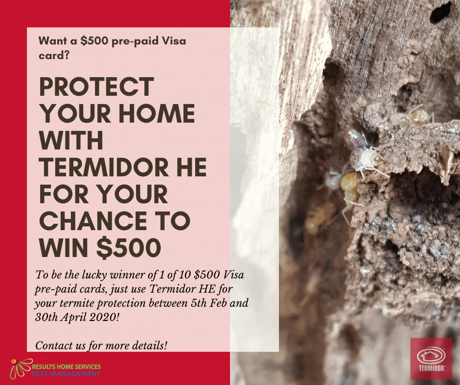 PestTermiteAid's tweet image. Time to update your termite barrier? Use Termidor HE for your chance to win!