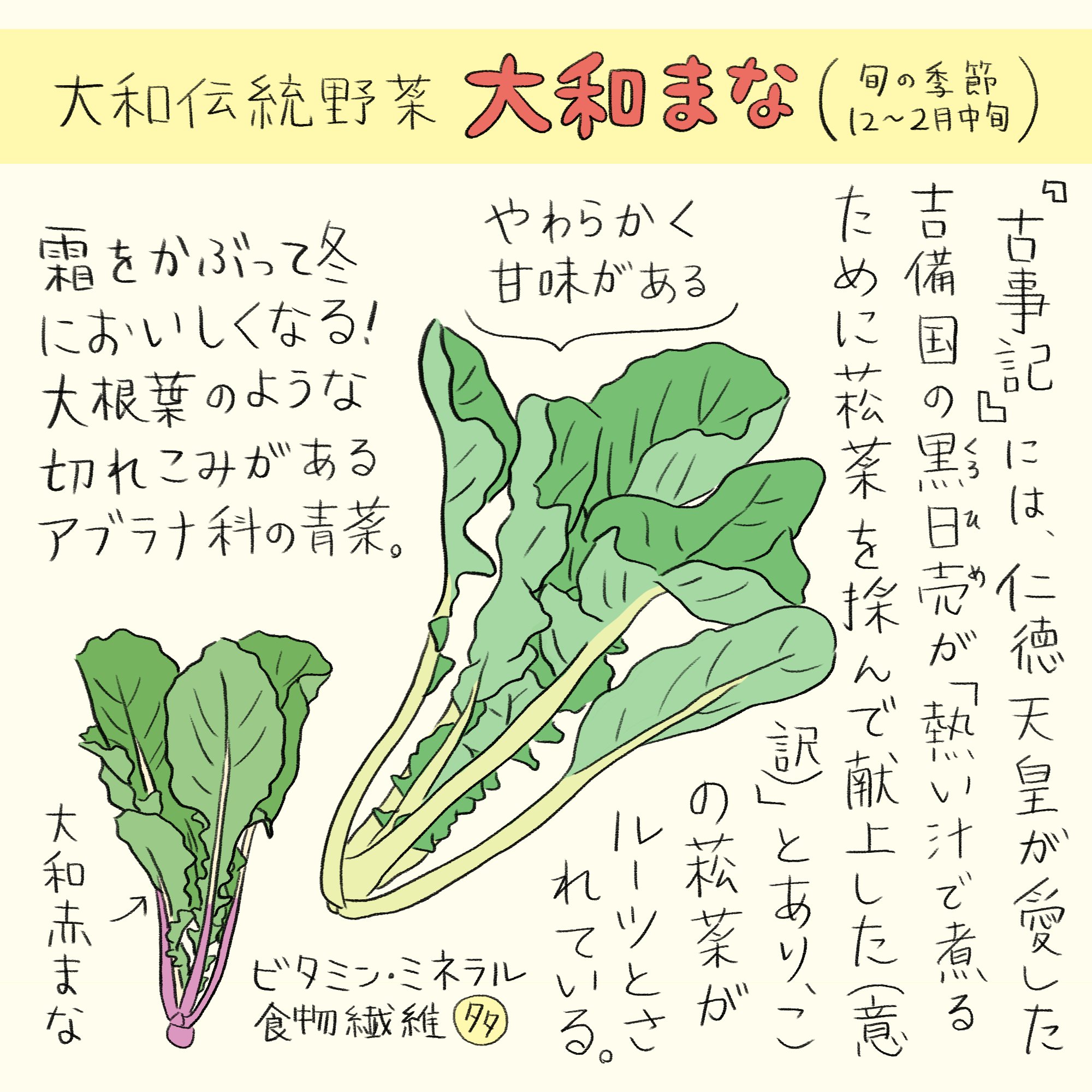 ヨシノマホ 奈良県が大好き U Tvitteri 奈良メモ 大和伝統野菜 大和まな 古事記に記述のある 菘菜 がルーツとも 今が旬 霜をかぶって冬に美味しくなる ビタミン ミネラル 食物繊維が豊富 品種改良により出荷量が増えた 主な生産地は ヨシノマホ 奈良県が大好き U Tvitteri 奈良メモ 大和伝統野菜 大和まな 古事記に記述のある 菘菜 がルーツとも 今が旬 霜をかぶって冬に美味しくなる ビタミン ミネラル 食物繊維が豊富 品種改良により出荷量が増えた 主な生産地は