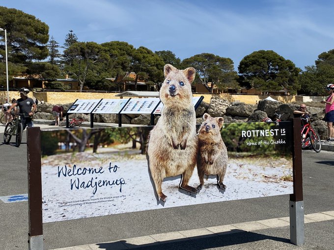 念願のロットネスト島、前半はサイクリングで島を半周してきました!
道中クワッカワラビーも見かけた!
後半はガイドさんにクワッカがよく集まるところを教えてもらってきます!!
ツーショット撮れるかな…? 