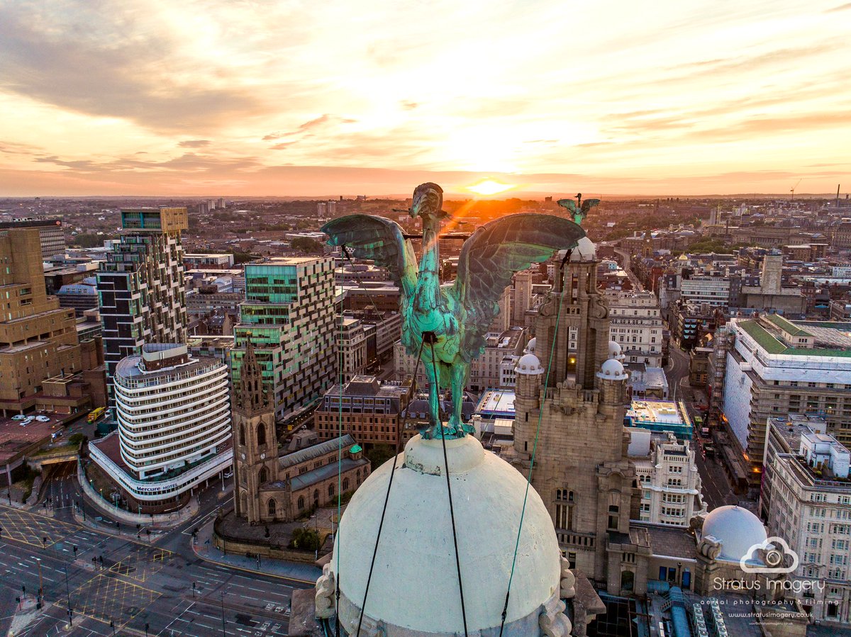 Did you know... our Liverbirds, Bertie and Bella, are 18ft tall?! #FactFriday 

📸 <a href="/stratusimagery/">Stratus Imagery</a>