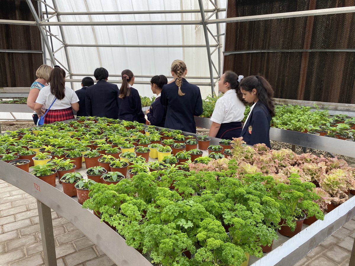 KSABGeography's tweet photo. Our big question for Y7- “Are our food choices destroying the planet” - how are @thesustainablecity is positively contributing to the environment- how are people in developing countries impacted by water shortages? can we identify solutions to our big issues? @waterallianceuae https://t.co/UWRo2Dx5IC