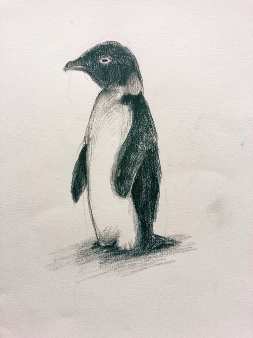 ペンギンヒナのtwitterイラスト検索結果 古い順 ペンギンヒナのtwitterイラスト検索結果 古い順