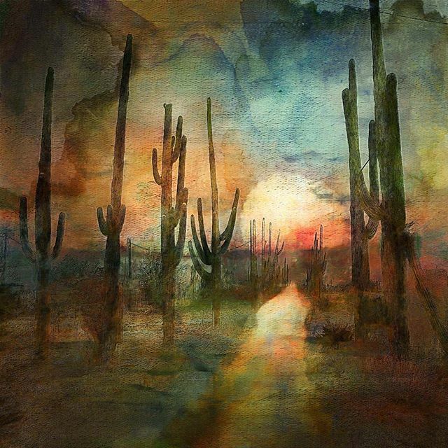 #desertart #desertlight #photoshopart #awakephotoshopartistry #digitalart #natureart #moody_tones #bpa_arts #bpa_arts_members #editgrammer #eg_member #mcl_arts #ww_edits #gobeyondthe_capture #altered_nature #artedigital #cactus #cactusart #photoshopartistry