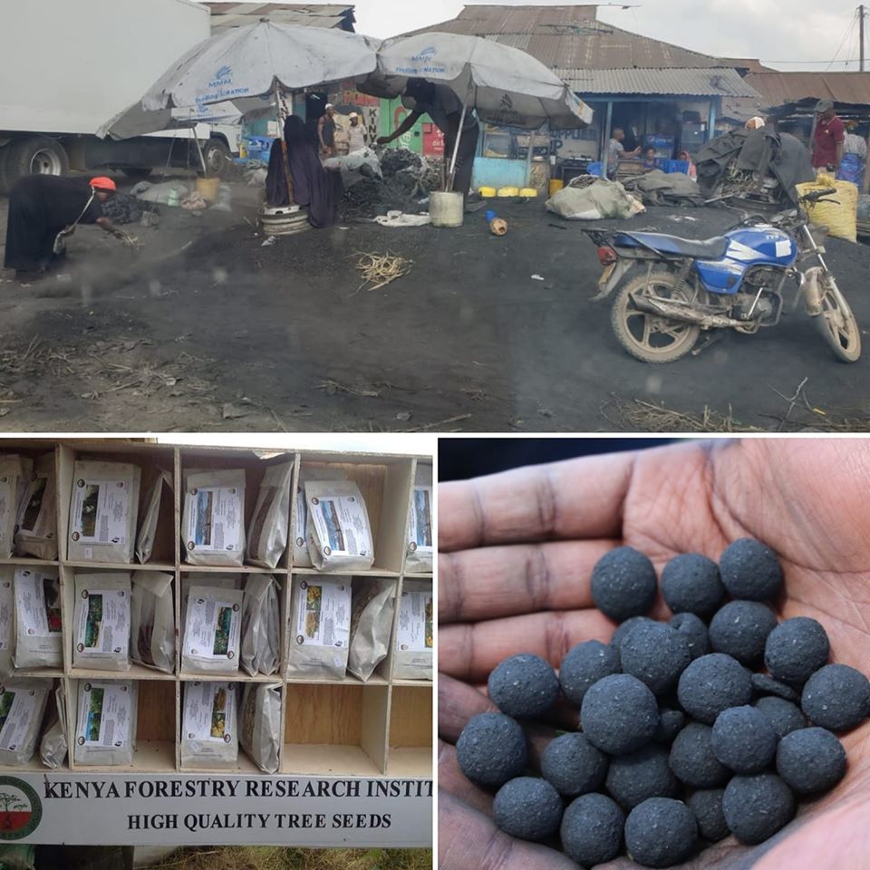 cookswelljikos's tweet photo. Learn how we clean up old waste charcoal dust from the market vendors and use it to coat certified indigenous tree seeds from @KEFRIHQ to make our #seedballs. This protects the seeds from predation by mice, birds etc. while they patiently wait for the next rains. 

#afr100 https://t.co/AvbA6nDd8Q