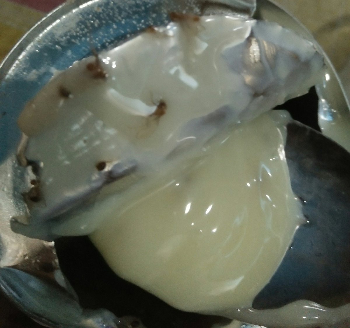 Ini adalah semut, semut yang mati ketika dia menceburkan diri kedalam kaleng susu kental manis (bukan cap enak)

Pelajaran hidup apa yang bisa kida dapatkan dari hal ini ?