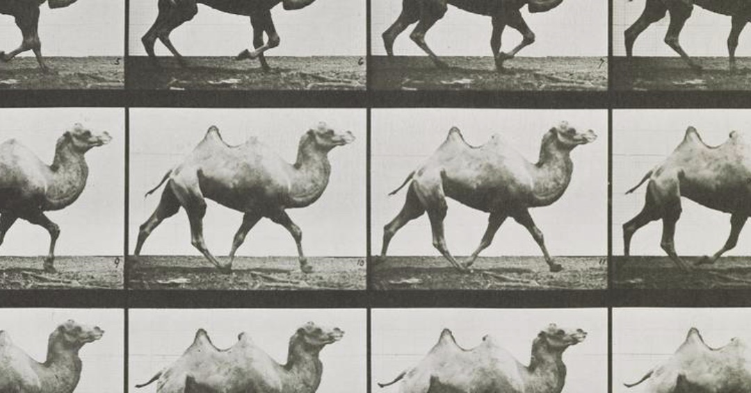 Today, photographs are created and consumed at a rapid pace, but in its early years photography was a time-consuming and challenging process. Check out the V&amp;A's Collecting Photography Exhibition ow.ly/Kcus50yfcPf
