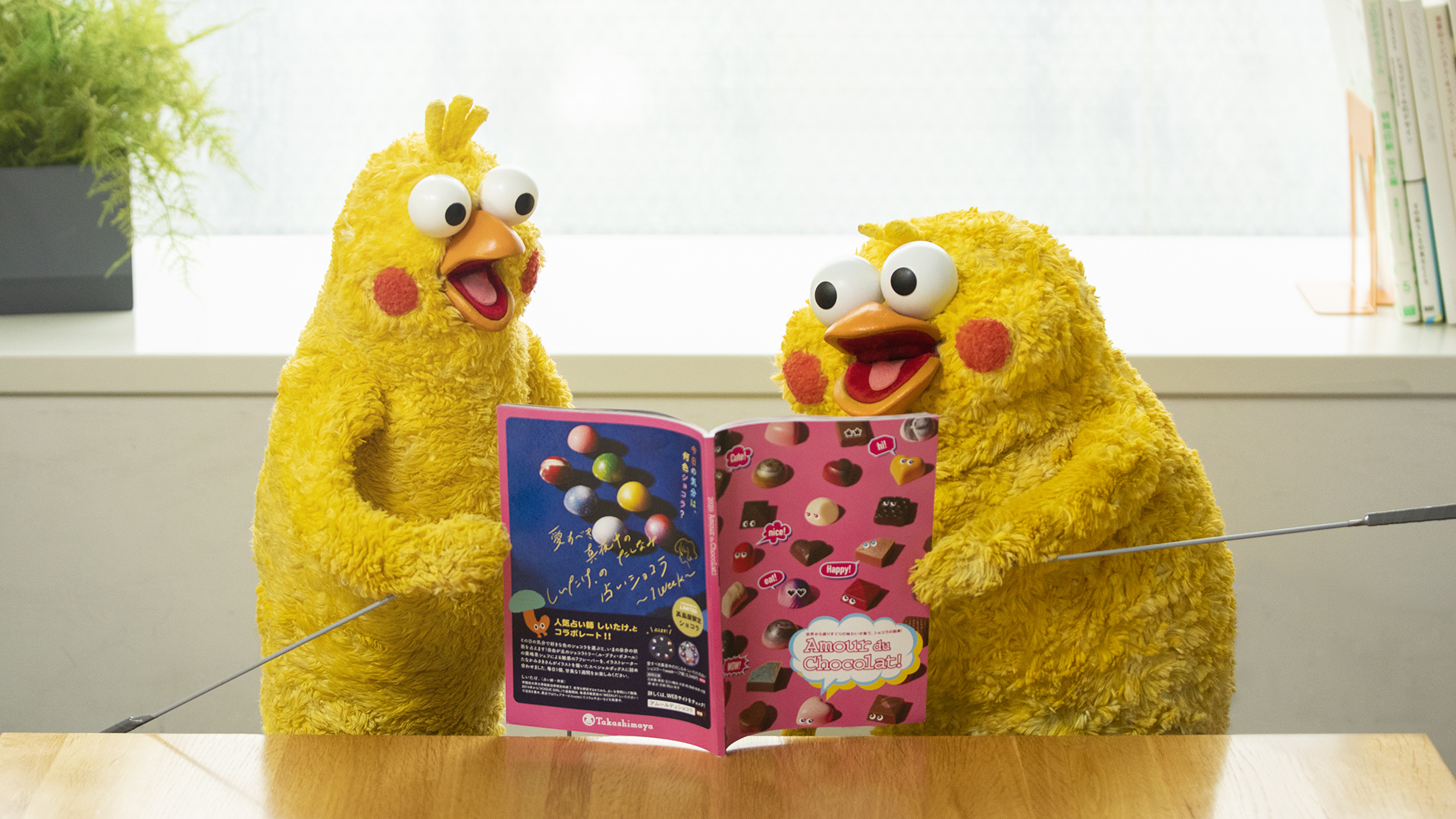 Nttドコモ 2月14日は バレンタイン ポインコ兄弟 チョコレート をもらいたいようです 弟 日本初登場チョコ 食べてみたい 兄 ショコラの本場フランスのチョコレートもいいな 兄弟 いっぱい食べたい 髙島屋でdポイントが2倍たまる