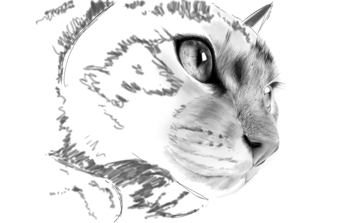 𝓡𝓮𝓪𝓵𝓓𝓻𝓪𝔀𝓲𝓷𝓰 リアル絵情報ブロガー 眉間のあたりを描いたけど もう少し白い毛並みを太くて強弱のある線にしないと ボンヤリした絵になりそう 明日の課題です 頑張れ自分 絵 イラスト スケッチ 模写 猫 音 𝓡𝓮𝓪𝓵𝓓𝓻𝓪𝔀𝓲𝓷𝓰 リアル絵情報ブロガー 眉間のあたりを描いたけど もう少し白い毛並みを太くて強弱のある線にしないと ボンヤリした絵になりそう 明日の課題です 頑張れ自分 絵 イラスト スケッチ 模写 猫 音