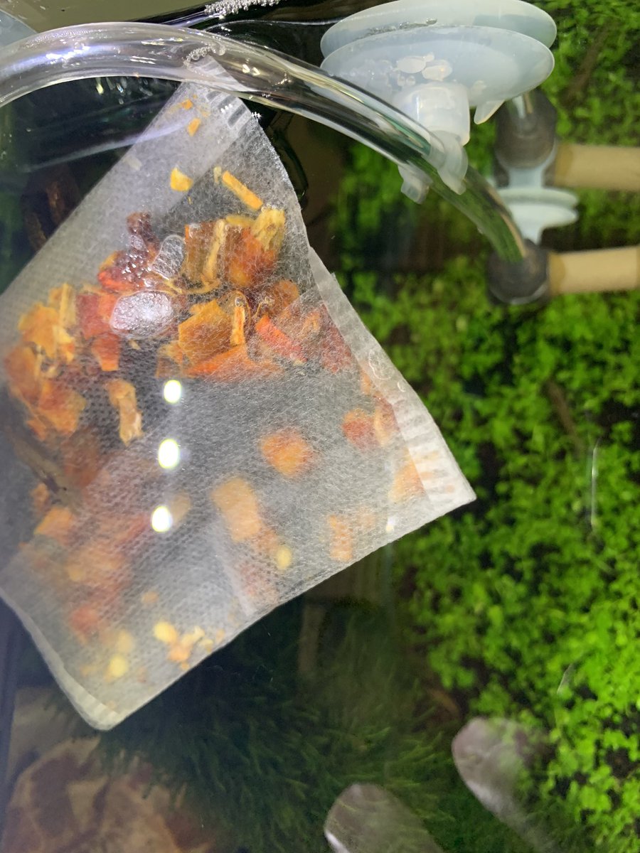 慶次 Mkc Kkmaekawa Twitter