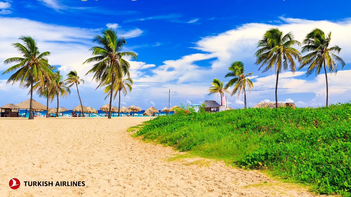 letenkySA's tweet photo. ✈ Uleť si na Kubu 🌴🌊☀! Letenky do Havany 🚘 s odletem z Prahy včetně zavazadla 🎒 od 9 660 Kč 👉 https://t.co/yiUSE2hydi https://t.co/hmkJ2A3WA9