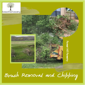 When your yard is overrun with brush and unwanted plants and debris, then brush removal and chipping from #Forest #Hill #Forestry is the right service for you. Call <a href="/FHForestry/">Forest Hill Forestry</a> at +437-776-4172 now.
