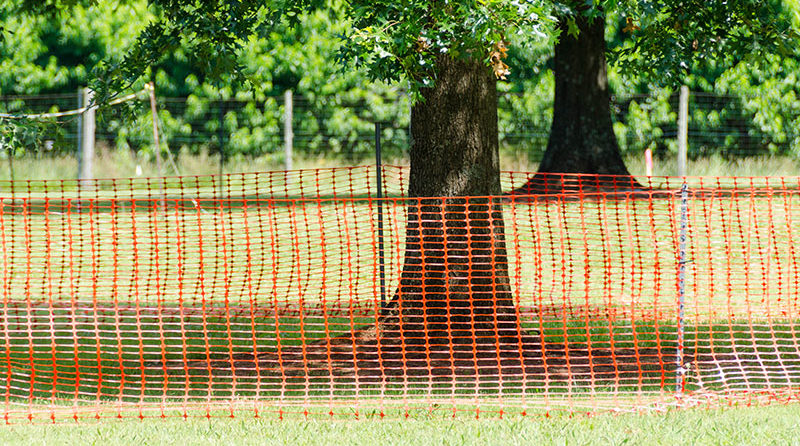 Trees provide endless benefits for the surrounding environment. Call <a href="/FHForestry/">Forest Hill Forestry</a> at +437-776-4172 now.
bit.ly/2tIQM44