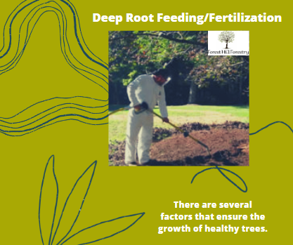 Having good nutrient dense soil is one of them. With the help of Forest Hill Forestry. Call <a href="/FHForestry/">Forest Hill Forestry</a> at +437-776-4172 now.