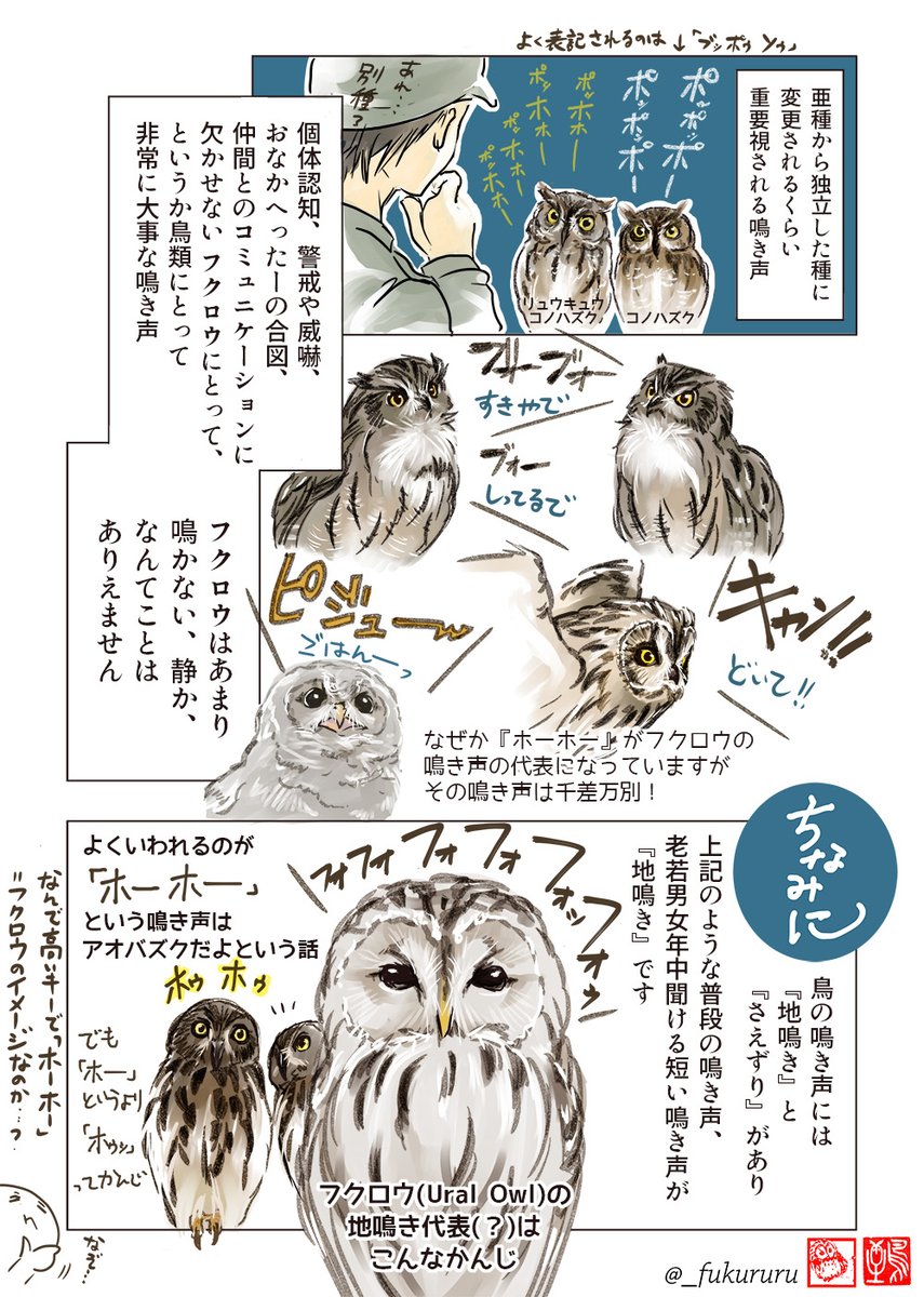 ～それはへんだよ～
フクロウ豆知識その2

お店の人「このフクロウはあまり鳴かないのでマンションでも飼いやすいですよー」

フクロウ「めっちゃ響く声で真夜中に鳴くやで」 