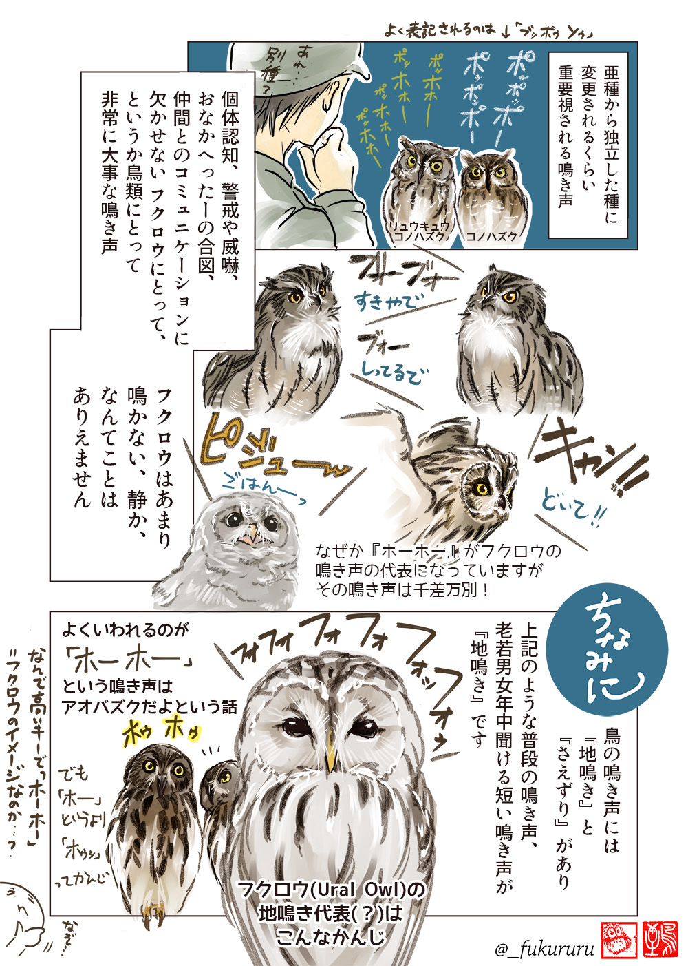 永田 鵄 おまけ この前フクロウっぽい鳥の声聞いたわー いいね どこらへんで 冬休みに田舎帰った時 ほぅほぅ 声は聞こえるけど姿は見えなくて フクロウだ 朝方ホーホー ホッホー って それ