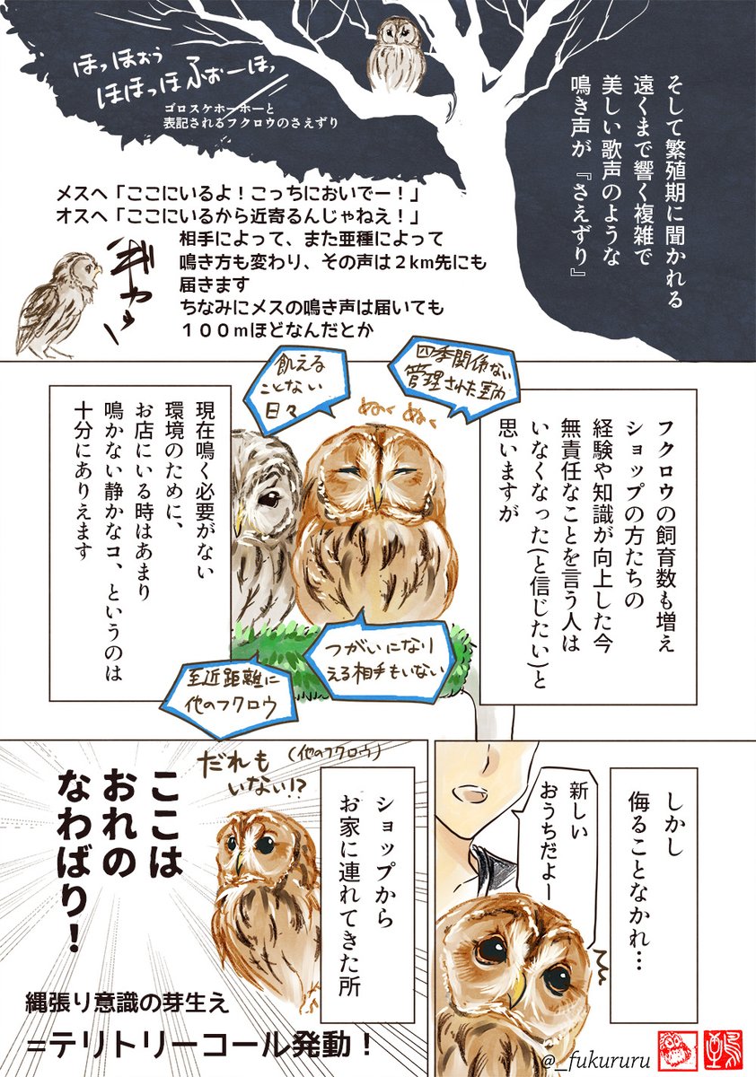 Twitter 上的 永田 鵄 おまけ この前フクロウっぽい鳥の声聞いたわー いいね どこらへんで 冬休みに田舎帰った時 ほぅほぅ 声は聞こえるけど姿は見えなくて フクロウだ 朝方ホーホー ホッホー って それ
