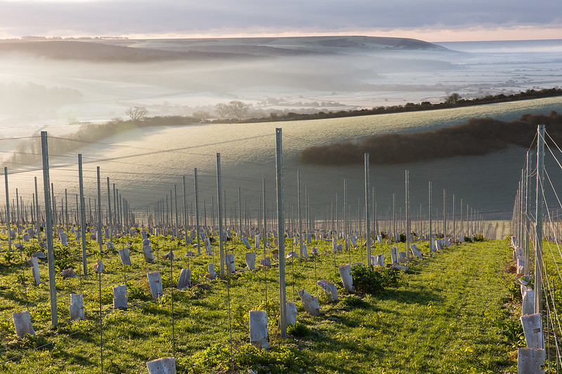 An incredible shot captured a few days ago of the rolling mist tumbling over the Seven Sisters. #SouthDowns #SevenSisters #Views
