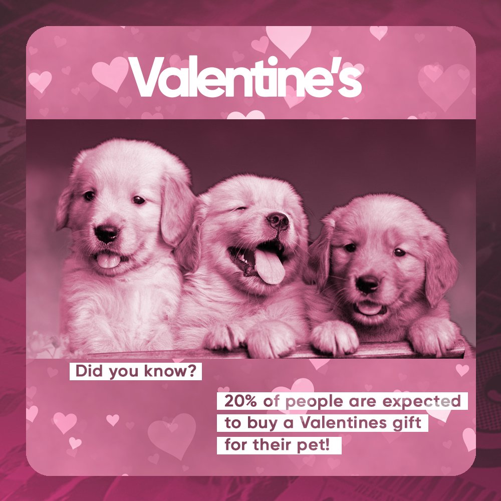 ❤️ #DidYouKnow that 20% of people are likely to buy a #ValentinesDay gift for their pets? 

❤️ Don't forget to check out our Alexa Daily Challenge which features all songs taken straight from our #Love pack! 

🗣️ "Alexa, play Beat The Intro" to get playing!