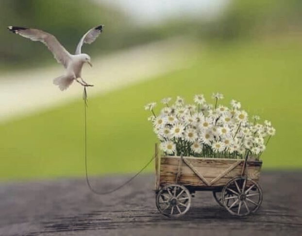 متابعه (@zm4020zm) on Twitter photo 