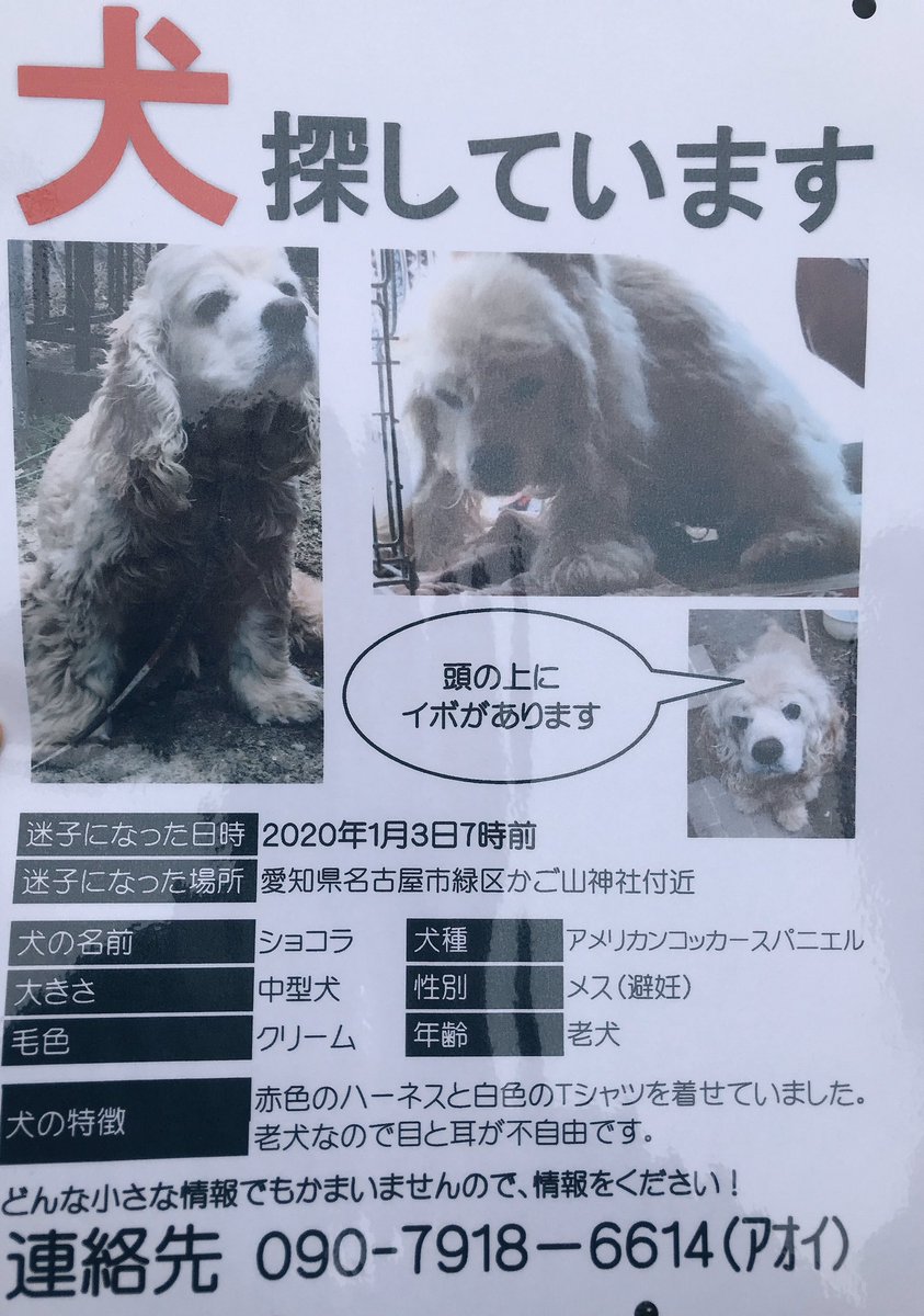 exile0303_aina's tweet image. 名古屋市緑区の水広公園で1人の女性の方が歩き回って探してました
不安で不安で仕方ないと言う姿を見て、少しでも力になりたいと思いました
力を貸して下さい拡散お願いします🙇‍♀️