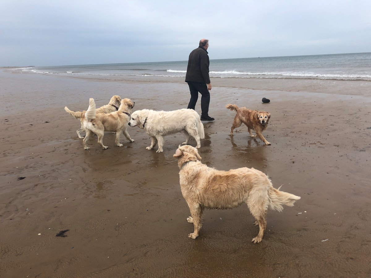 Visit Norfolk tweet media