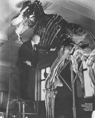 Geology_History's tweet photo. February 12, 1873, birthday of paleontologist Barnum Brown, described the king of tyrant lizards -  the Tyrannosaurus rex 🦖👑
https://t.co/Tk4cNYeUKw https://t.co/t075Q946LS
