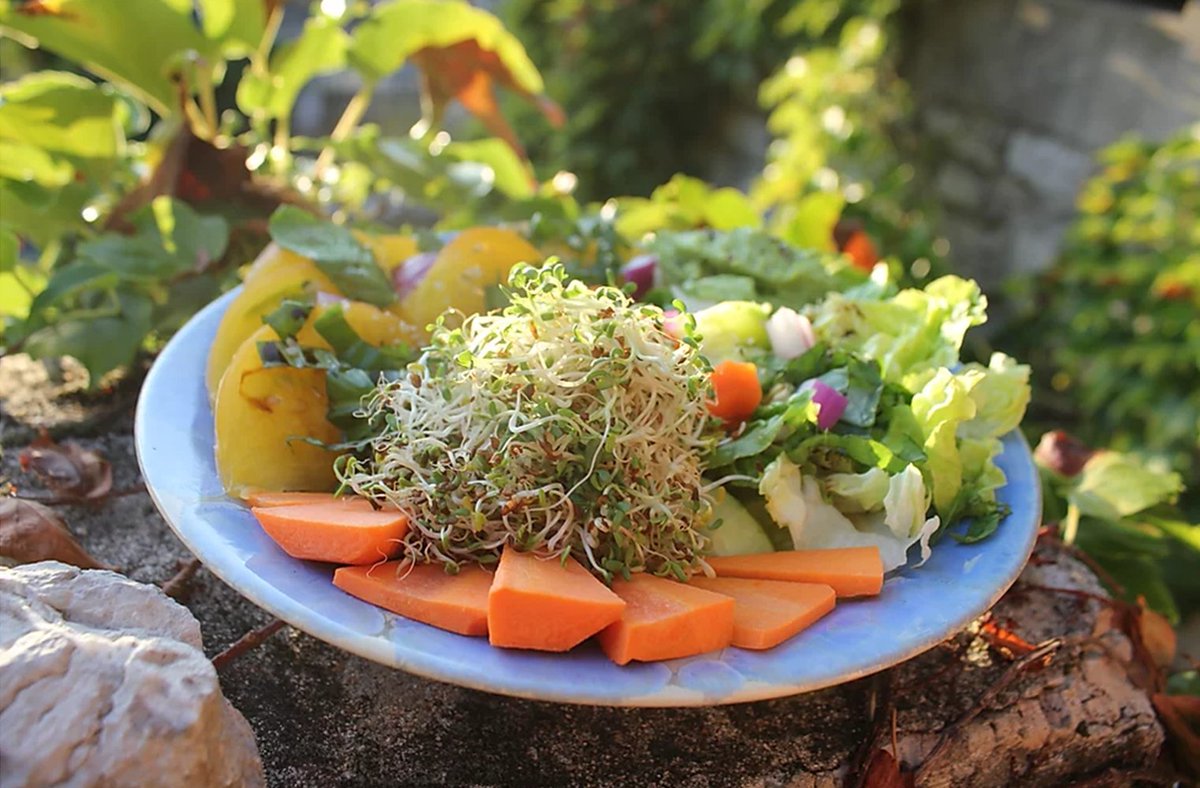 Germline - My super food veggie tweet media