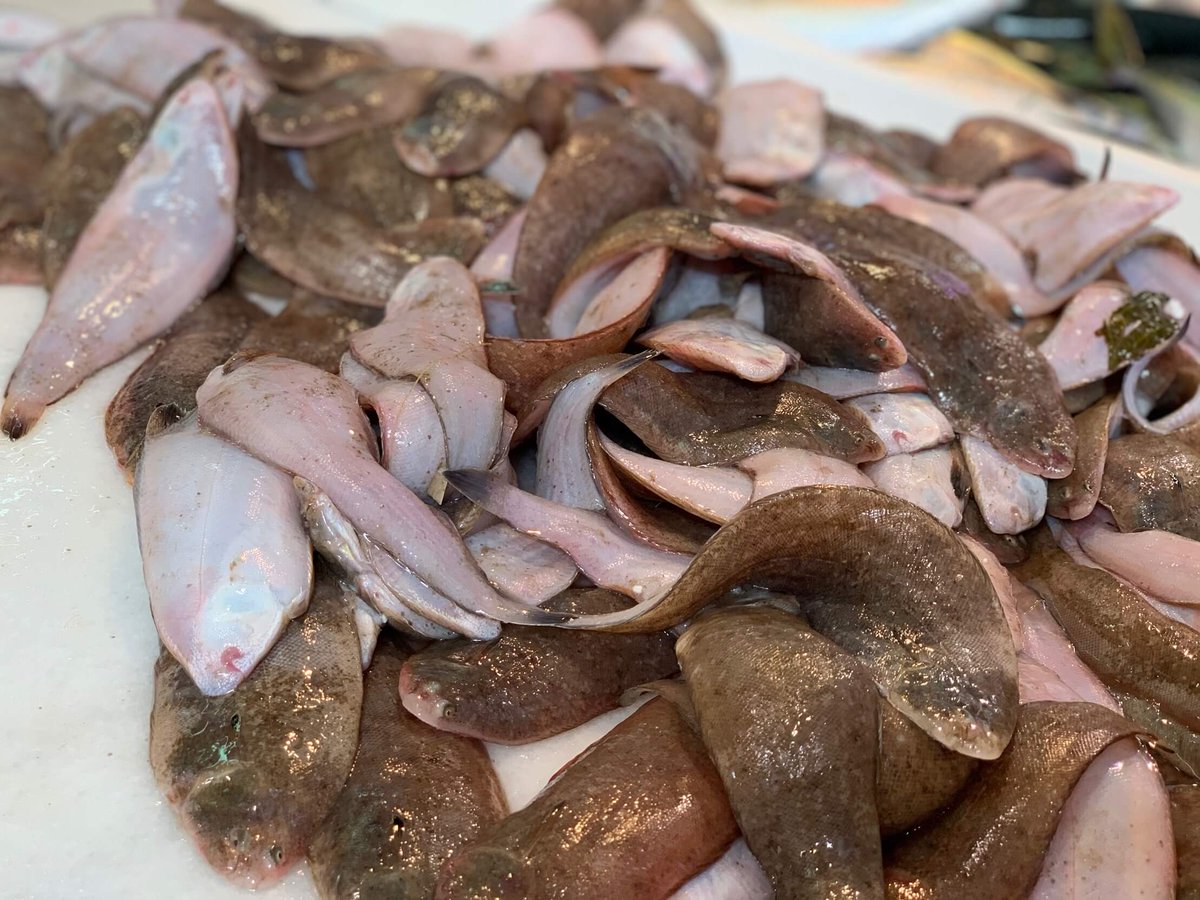 Mercado de Abastos de Ayamonte tweet media