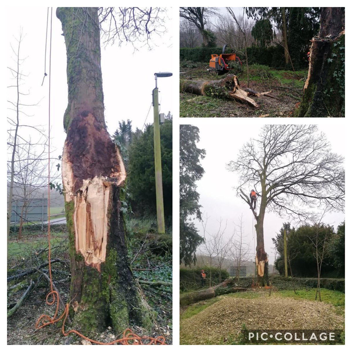 Have you been left with some damage from #StormCiara don’t heat to contact us #Arborist #treesurgeon <a href="/apbtreecare/">APB Treecare</a>