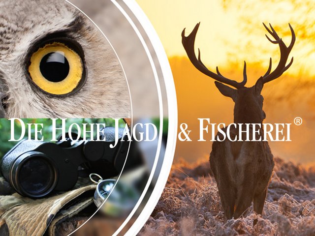 Digisilkroad tweet media