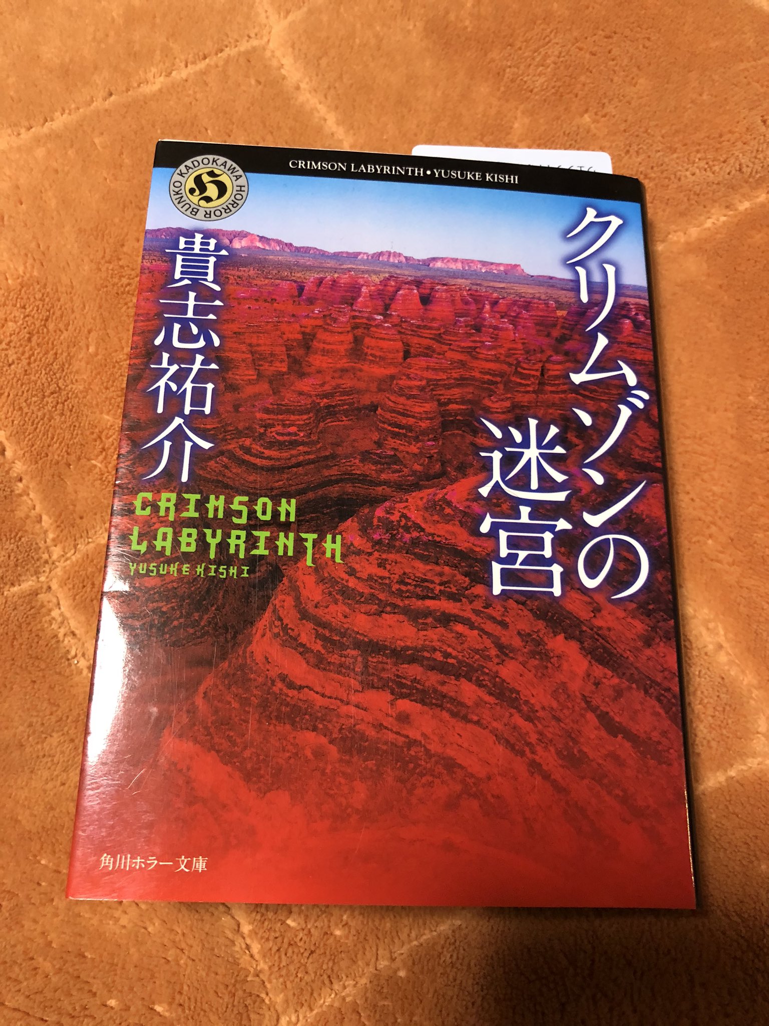 クリムゾンの迷宮 映画