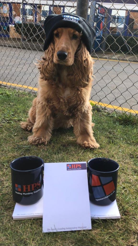 It’s hump day Wednesday n Rosie been feeling the strain of a busy week but she was keen on modelling her latest beanie from <a href="/IdealAarron/">Aarron Willson, Ideal Boilers</a> @IdealBoilers n we have a few HPS Cups n Notepads looking for an Office!! Nice donation to GOSH. Pop in n part with some coins #hpsmerchant