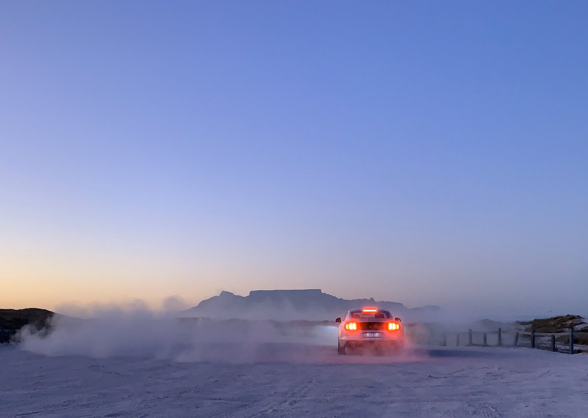 Grant Kenchington tweet media