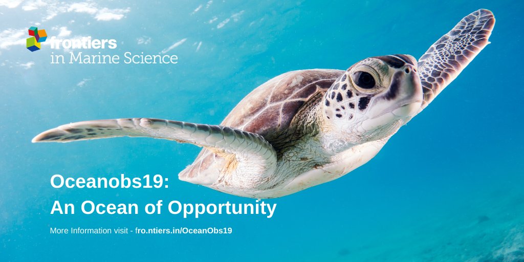 FrontMarineSci's tweet photo. The #OceanObs19 is a hallmark conference of the ocean observing community -- >> https://t.co/2BxzqeJBlX
We worked together with brilliant authors, editors and reviewers to realize this incredible article collection of white papers!
https://t.co/HMFPtL8rgN
(1) https://t.co/n29eIrwtaZ