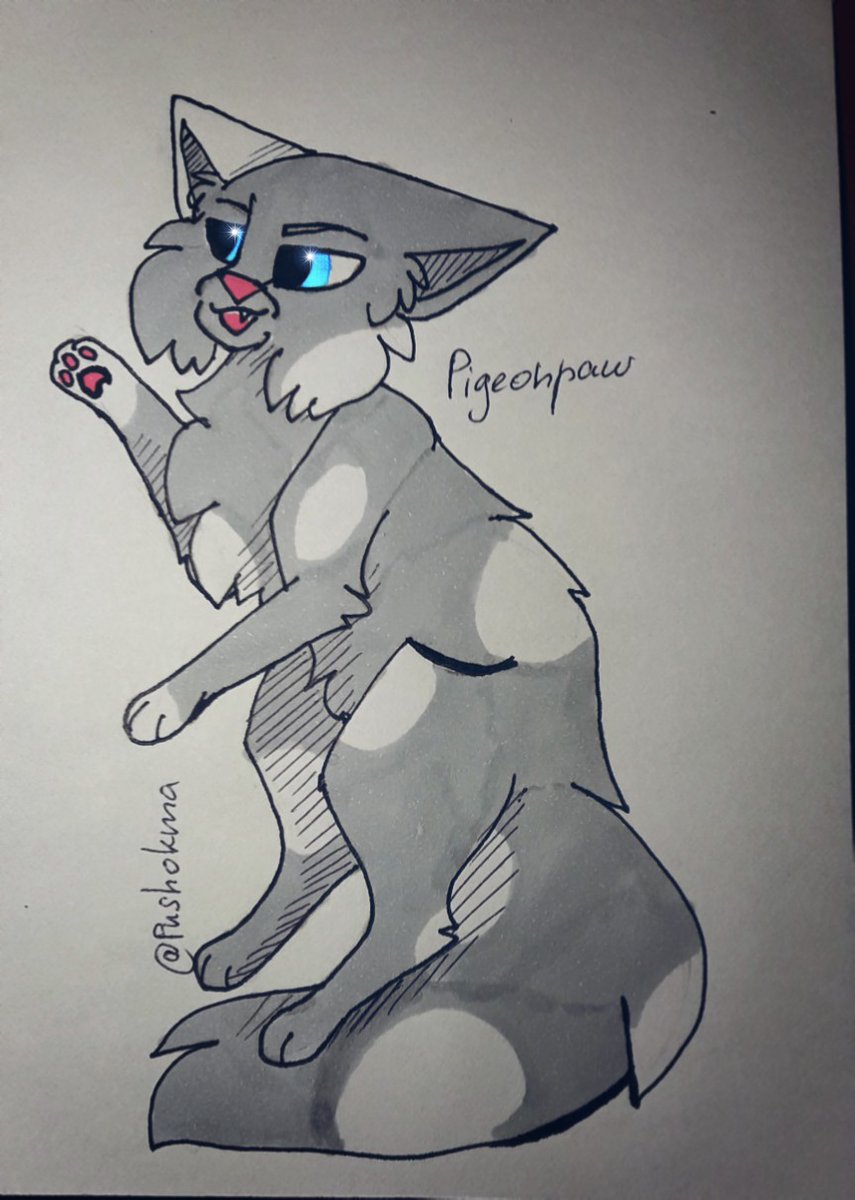 SilverM28938407's tweet photo. 🕊Голубчик||Pigeonpaw🕊
#котывоители #котивояки #warriorcats #Голубчик #Pigeonpaw https://t.co/ZHt1rsj2zZ