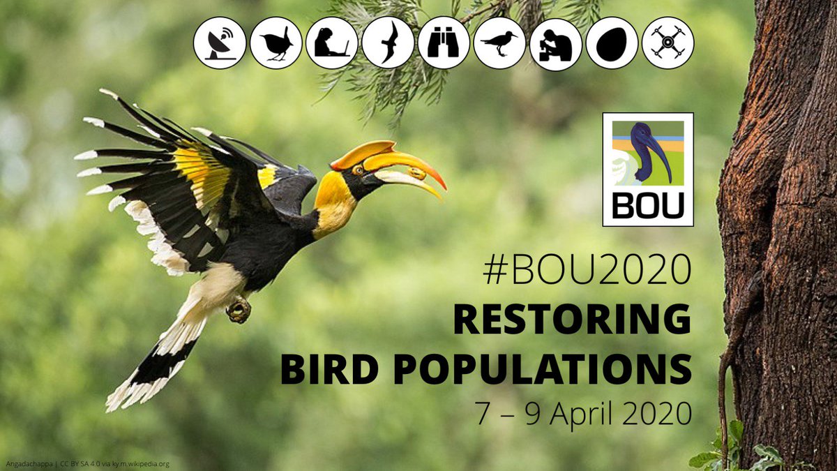 WWTconservation's tweet photo. Have you booked your place for #BOU2020 yet?
Early bird registration is open until 14 February.
All the details can be found at https://t.co/4Py8oNB5wG #ornithology
@IBIS_journal https://t.co/F7mYVh2hcs