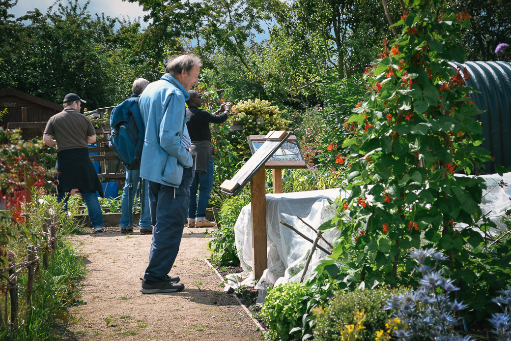 Book a private 90 min #tour around St Ann's Allotments for your group, taking in its varied history from 1300 to present, including everything from orchards and rose shows to murders and MasterChef! £5pp for 15-25 people staa-allotments.org.uk/tours/ #gardening #heritage