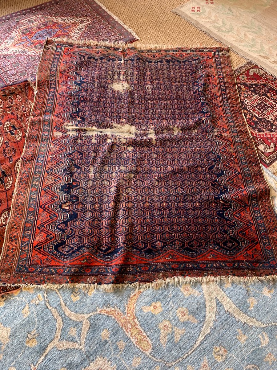 TheCarpetDoctor's tweet photo. Bakhtiyar offer a full clean, repair and restoration service, so bring your cherished Rugs in for a full appraisal -> https://t.co/B3Nus10hPm
#rugrepairs #rugrestoration #carpetcleaning #rugcleaning #rugspecialist #interiordesign #interiordesign #rugrepair #London #Hampshire #rug https://t.co/mFSwcBCePR