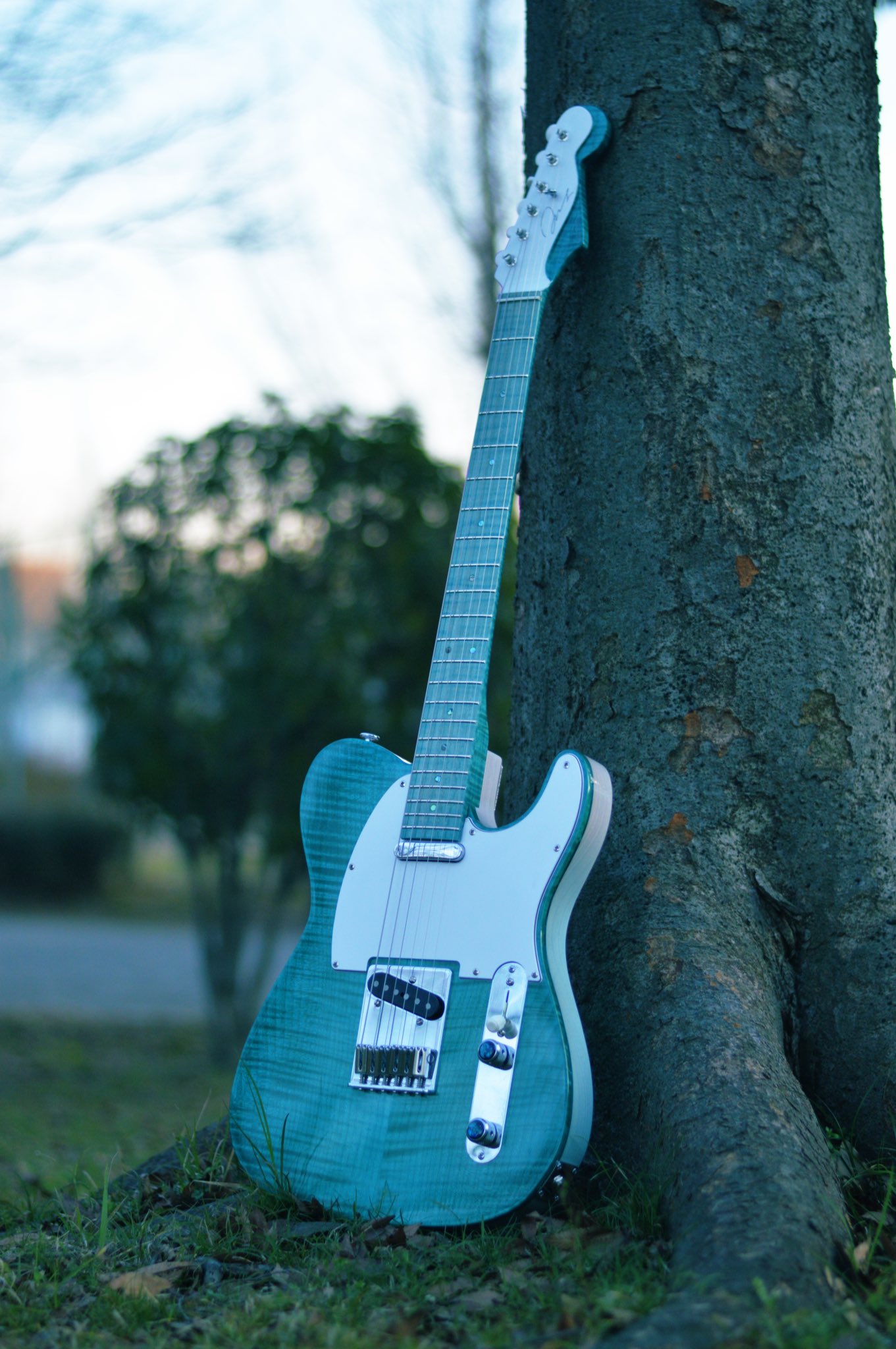 Amane Kuu 雨音 空 My New Gear 製作していたテレキャスターが完成しました ヘッドはストラト テレキャスシェイプになっております スペックは4枚目の画像に記載してあります T Co Rhvrtr7yhb Twitter