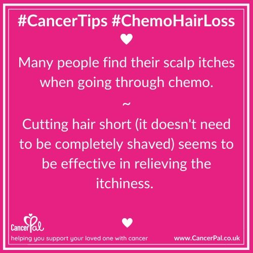 Cancer_Pal's tweet photo. Many people find their scalp itches during #chemo. This is due to inflammation of the hair follicle. Taking the weight out of your hair by cutting it short tends to relieve the itchiness. #CancerTip #ChemoHairLoss https://t.co/GVRDz9vJfI